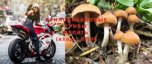 каннабис Беломорск