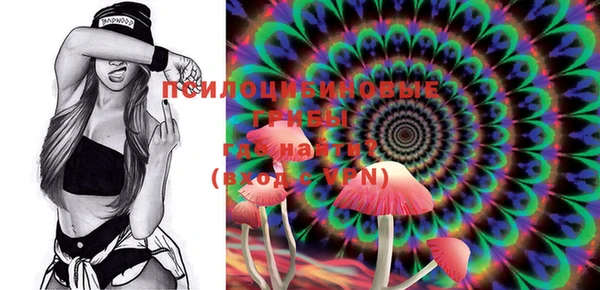 MDMA Premium VHQ Белокуриха