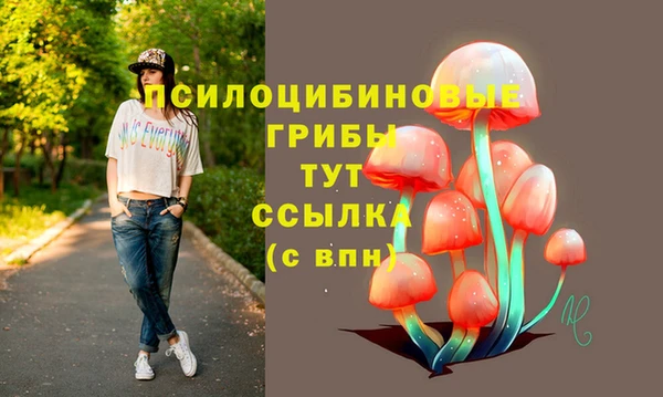 синтетический гашиш Богородск
