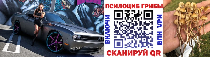 Галлюциногенные грибы ЛСД  Купить закладки  Кыштым 